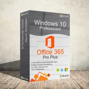windows 10 pro office 365