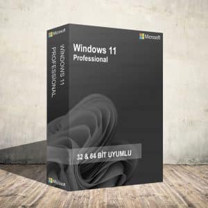 Windows 11 Pro 300x300